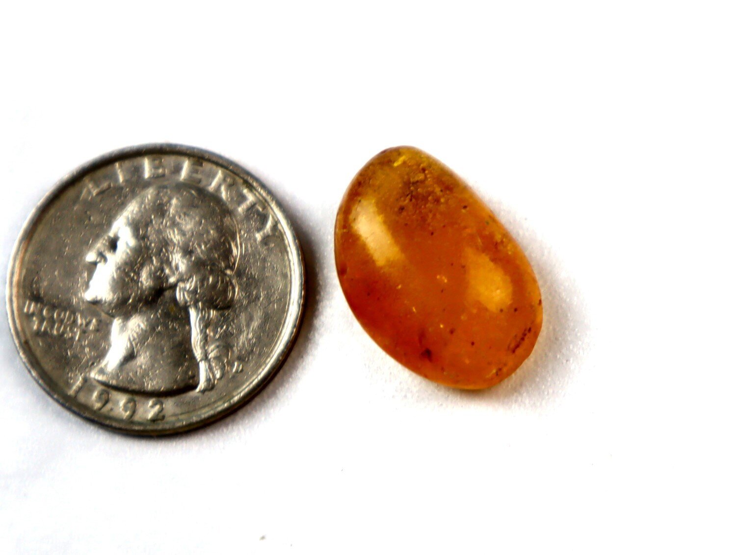 Beautiful Handcrafted Mosquito Inclusion In Amber Fossils/Insects 21mm – photo 3