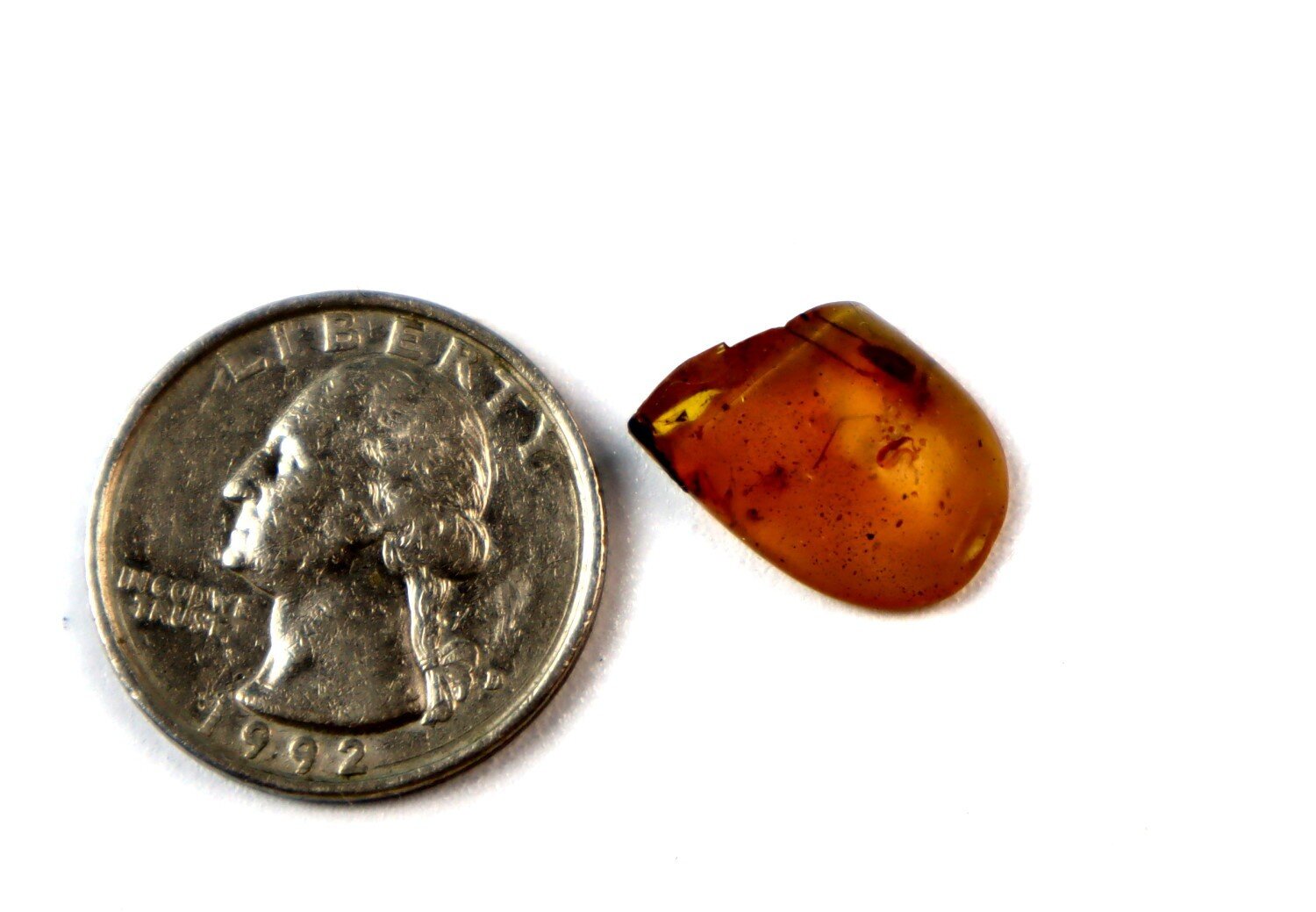 Authentic Beautiful Spider Inclusion In Amber Fossils/Insects 17mm – photo 4
