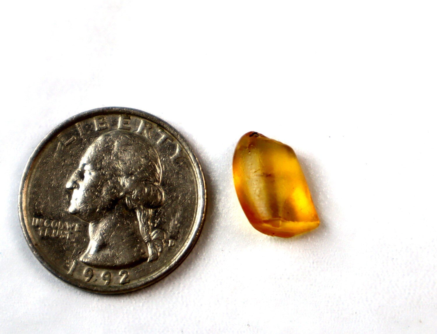 Natural Elegant Mosquito Inclusion In Amber Fossils/Insects 14mm – photo 3