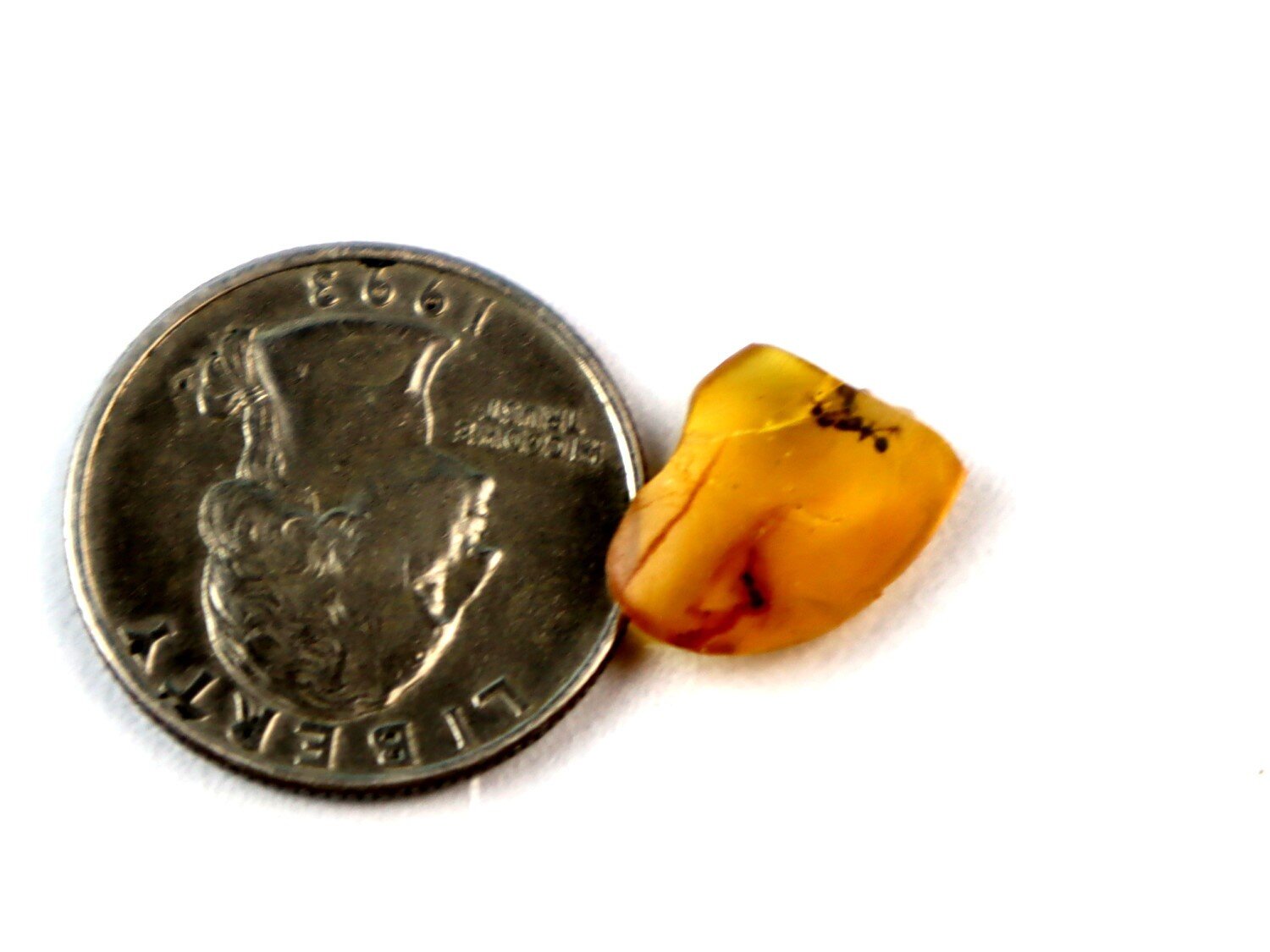 Handcrafted Natural Fly Inclusion Amber Fossils/Insects 14mm – photo 3