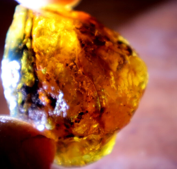 Impressive Natural Dominican Clear Sky Blue Amber Rough Specimen 36mm 14.1g – photo 10