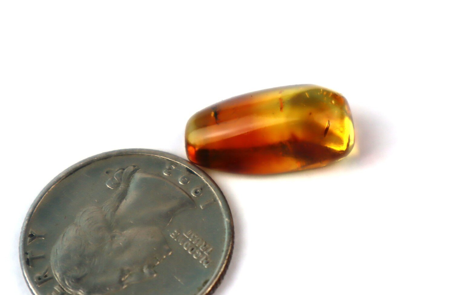 Natural Dominican Amber Insect Fossil – Polished Stone – photo 3