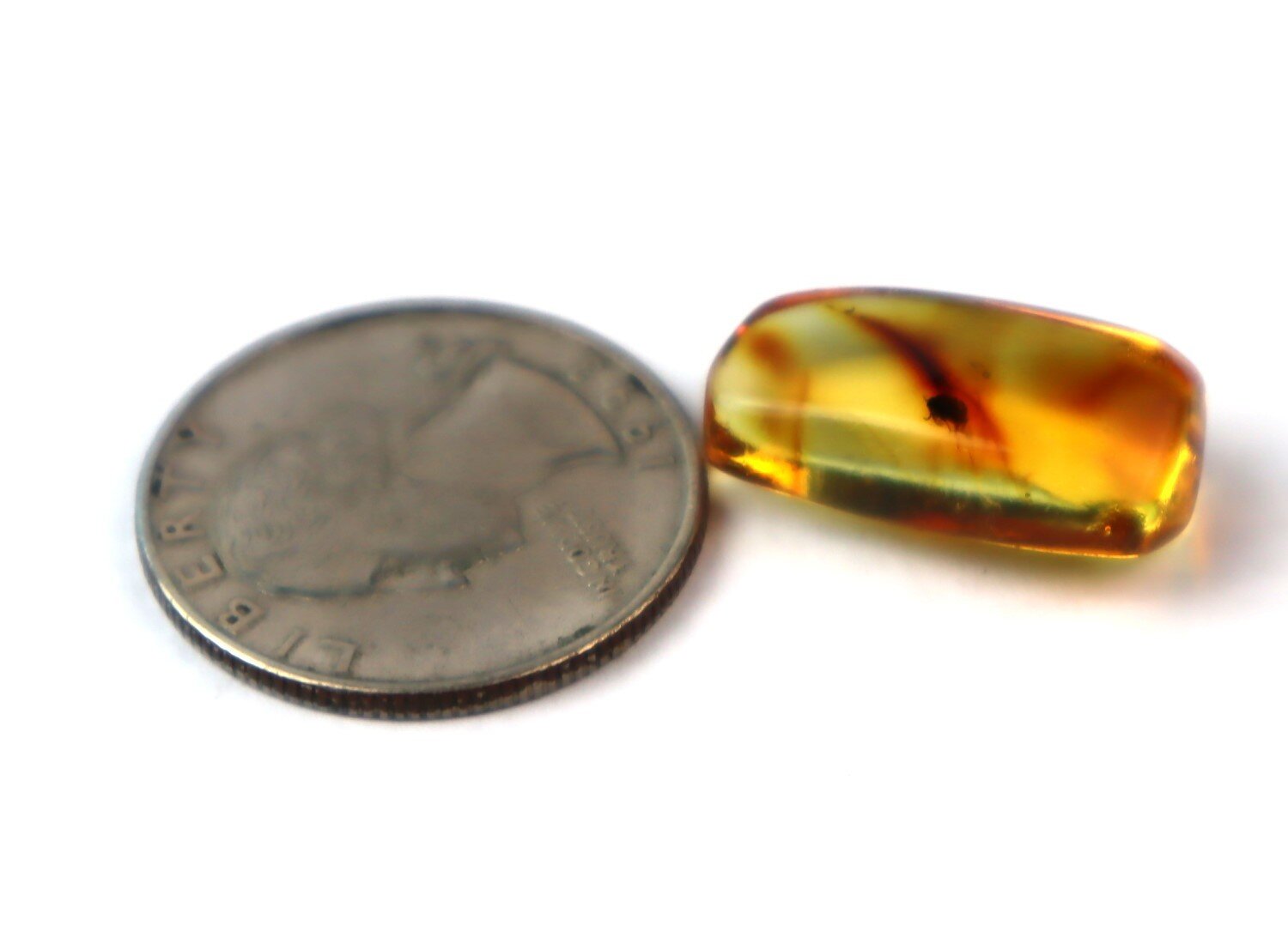 Natural Dominican Amber Insect Fossil – photo 4