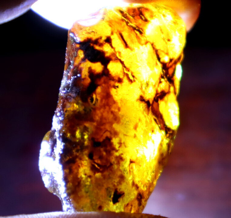Excellent Natural Dominican Crystal Clear Volcanic Blue Amber Rough Specimen 10g – photo 13