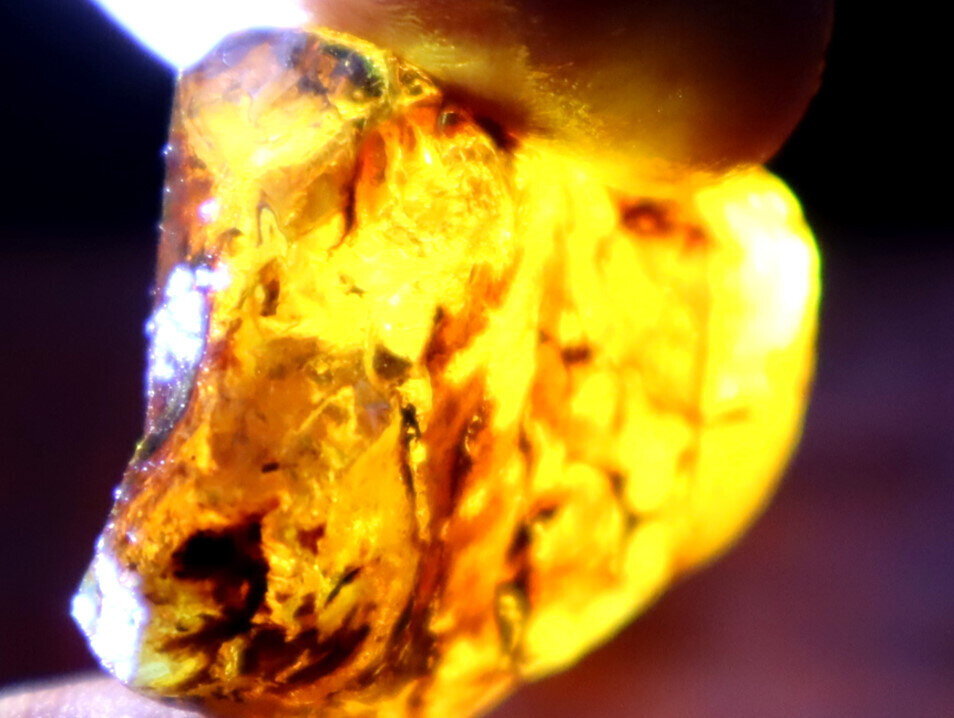 Excellent Natural Dominican Crystal Clear Volcanic Blue Amber Rough Specimen 10g – photo 15