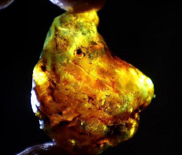 Genuine Authentic Green Blue Dominican Amber Rough Specimen Chunk 46mm 14.7g – photo 6