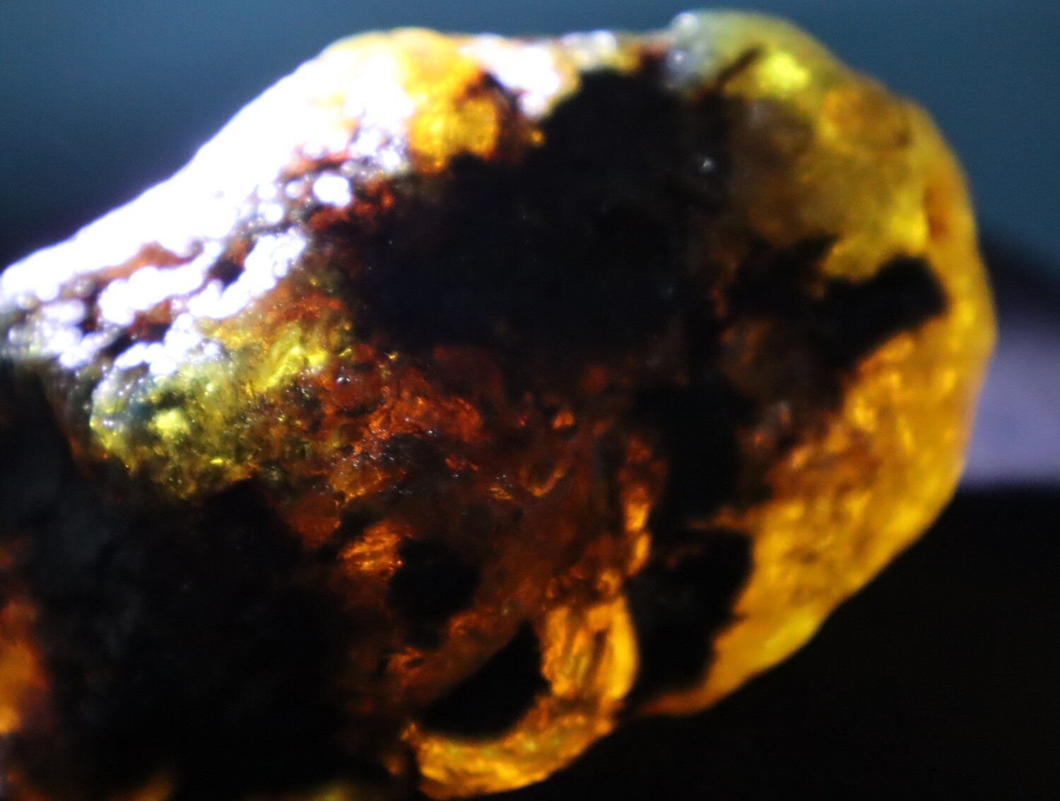 Beautiful Natural Dominican Translucent Green Blue Amber Rough Specimen 81mm 96g – photo 8