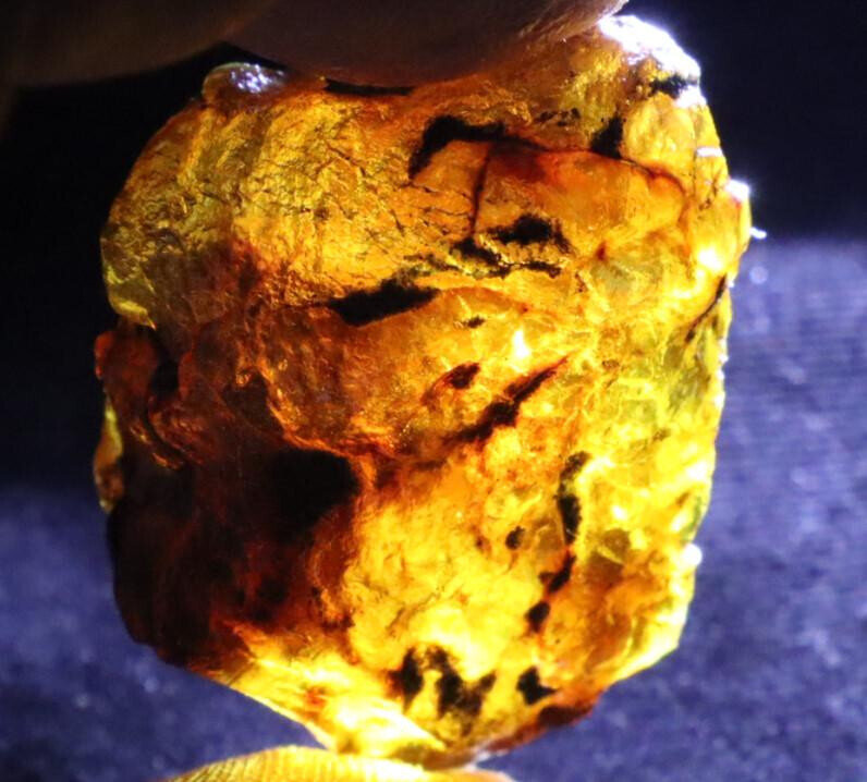 Exquisite Natural Dominican Clear Sky Blue Amber Rough Specimen 37mm 9g – photo 8