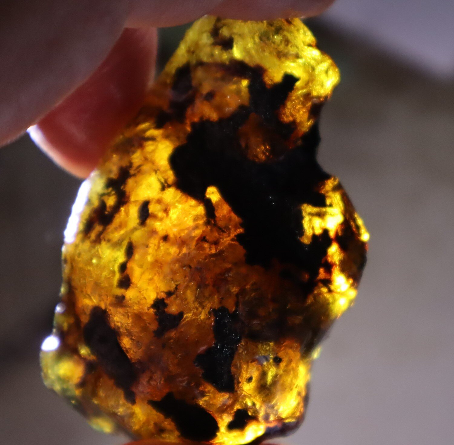 Beautiful Natural Dominican Clear Green Blue Amber Rough Specimen 63mm 31.2g – photo 9