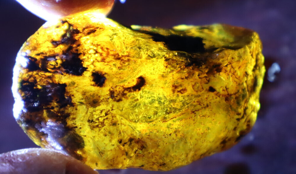 Finest Natural Dominican Clear Green Blue Amber Rough Specimen 50mm 17g – photo 6