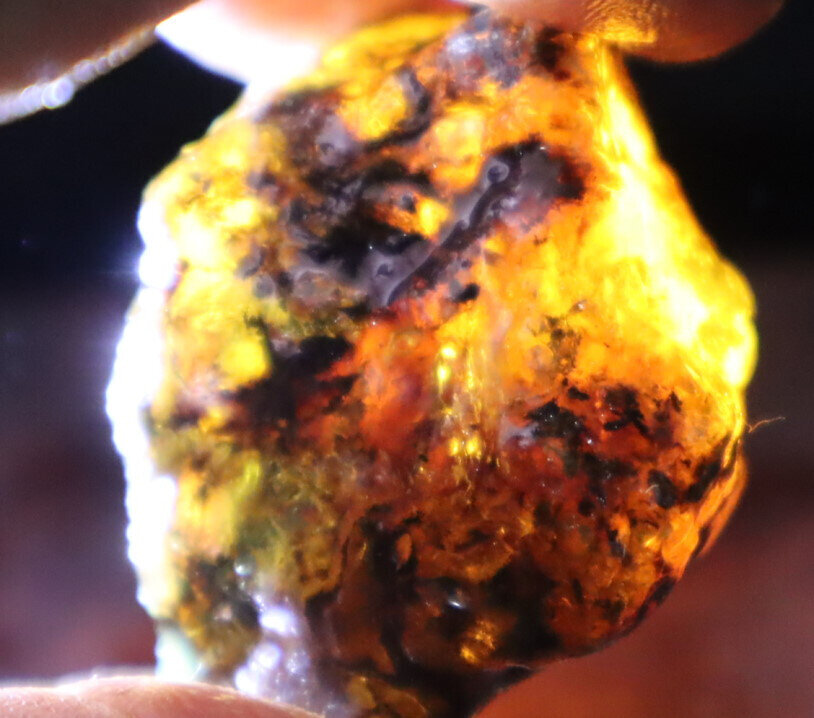 Beautiful Natural Dominican Clear Sky Blue Amber Rough Specimen 41mm 17.1g – photo 8