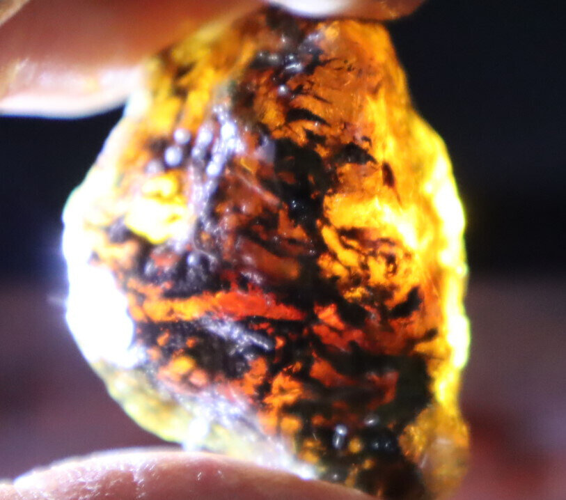 Beautiful Natural Dominican Clear Sky Blue Amber Rough Specimen 41mm 17.1g – photo 13