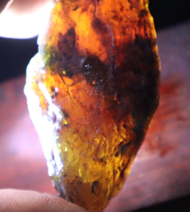 Rare Inclusions Dominican Clear Volcanic Blue Amber Rough Specimen 75mm 35.1g – photo 10