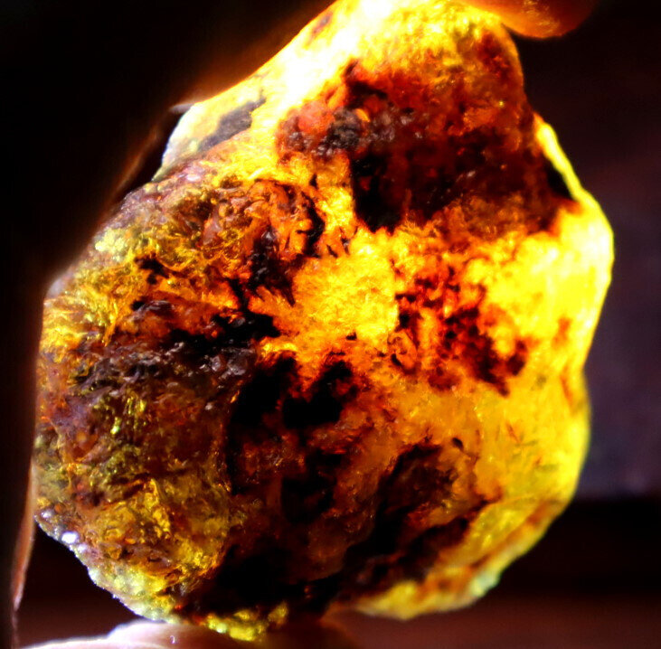Outstanding Natural Dominican Clear Yellow Blue Amber Rough Specimen 62mm 66g – photo 15