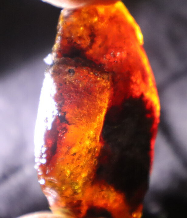 Beautiful Natural Dominican Clear Sky Blue Amber Rough Specimen 52mm 24g – photo 9