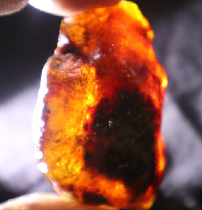 Beautiful Natural Dominican Clear Sky Blue Amber Rough Specimen 52mm 24g – photo 10