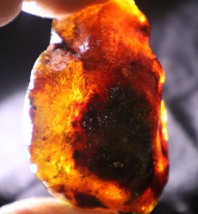 Beautiful Natural Dominican Clear Sky Blue Amber Rough Specimen 52mm 24g – photo 11