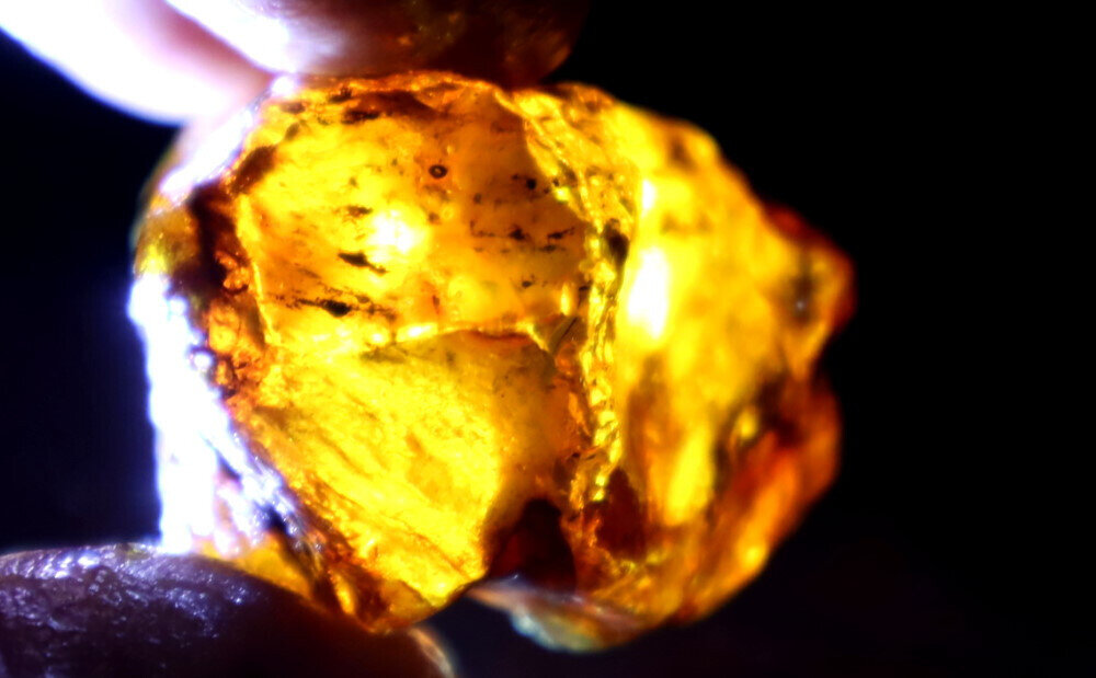 Exquisite Natural Dominican Clear Deep Blue Amber Rough Specimen 45mm 12.7g – photo 9