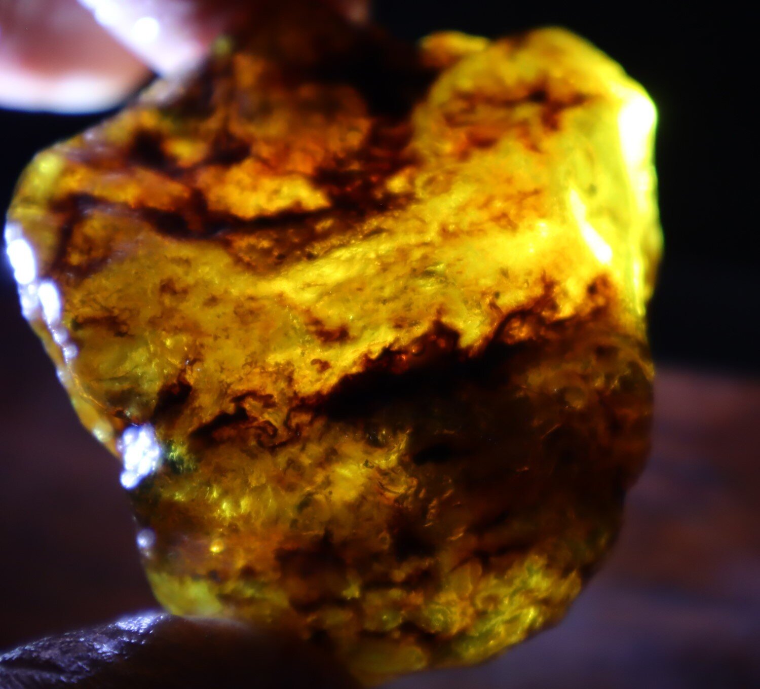Splendid Natural Dominican Clear Green Blue Amber Rough Specimen 52mm 31.6g – photo 8