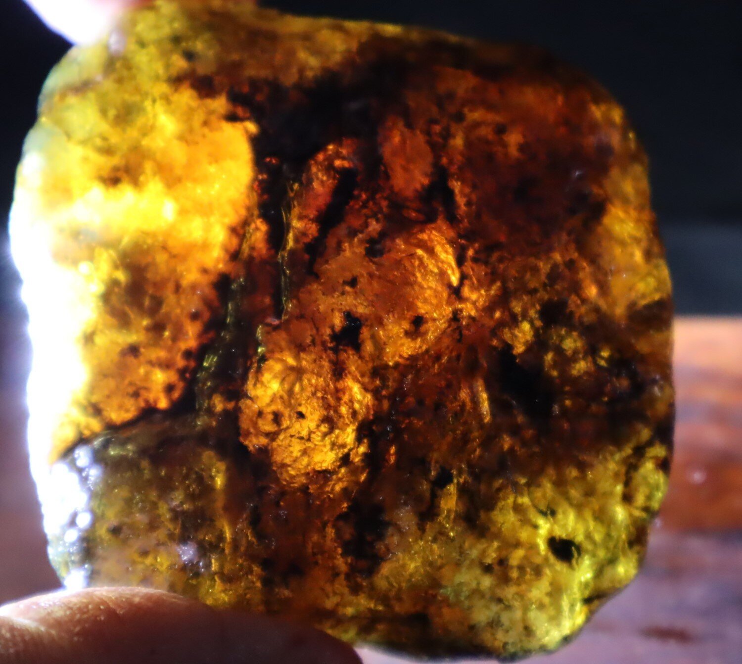 Impressive Natural Dominican Clear Green Blue Amber Rough Specimen 53mm 27.6g – photo 7
