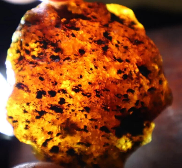 Beautiful Natural Dominican Clear Yellow Blue Amber Rough Specimen 55mm 34.5g – photo 4