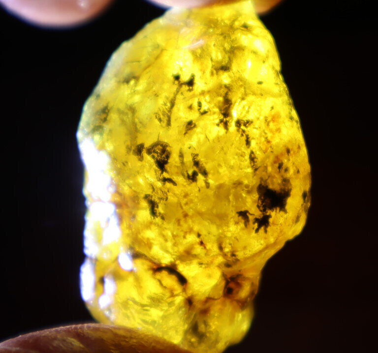 Beautiful Natural Dominican Clear Light Blue Yellow Amber Rough Specimen 43mm 14g – photo 10