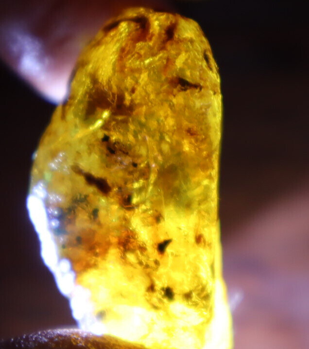 Excellent Natural Dominican Clear Yellow Blue Amber Rough Specimen 40mm 9.6g – photo 14