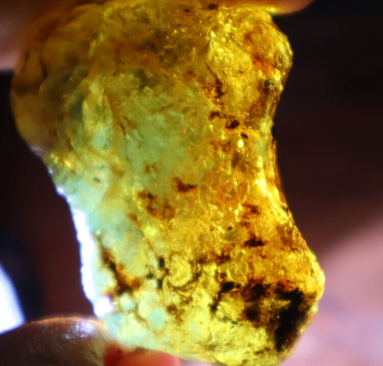 Excellent Natural Dominican Clear Yellow Blue Amber Rough Specimen 40mm 9.6g – photo 17