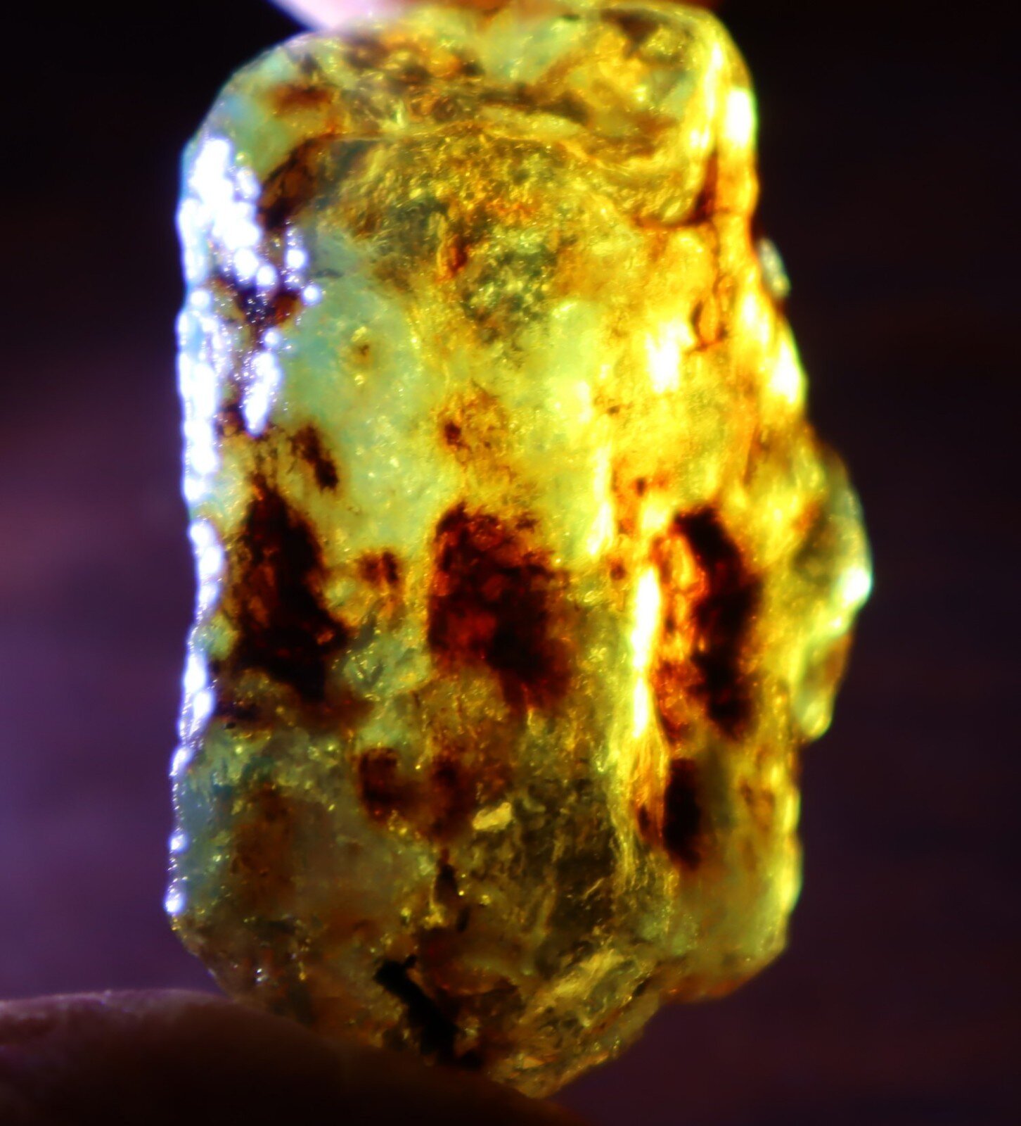 Charming Design Natural Dominican Clear Green Blue Amber Rough Specimen 43mm 11g – photo 4