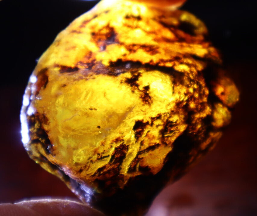Exquisite Natural Dominican Clear Light Blue Amber Rough Specimen 46mm 22g – photo 9