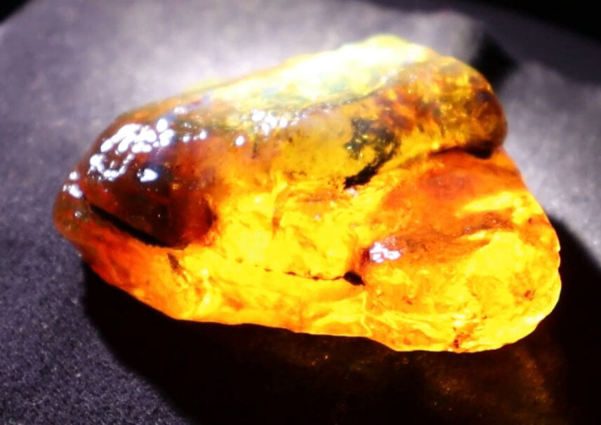 Exquisite Natural Dominican Clear Orange Blue Amber Rough Specimen 50mm 24g – photo 7