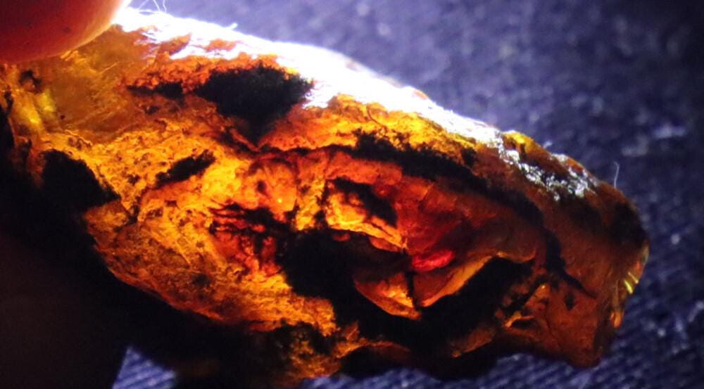 Exquisite Natural Dominican Clear Sky Blue Amber Rough Specimen 34mm 7.5g – photo 6