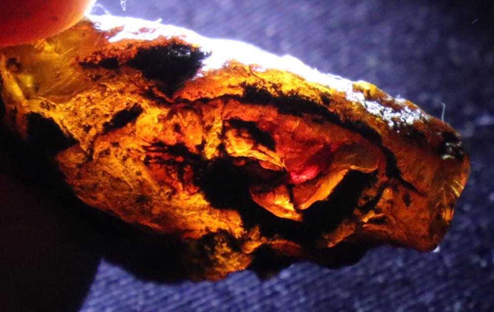 Exquisite Natural Dominican Clear Sky Blue Amber Rough Specimen 34mm 7.5g – photo 9