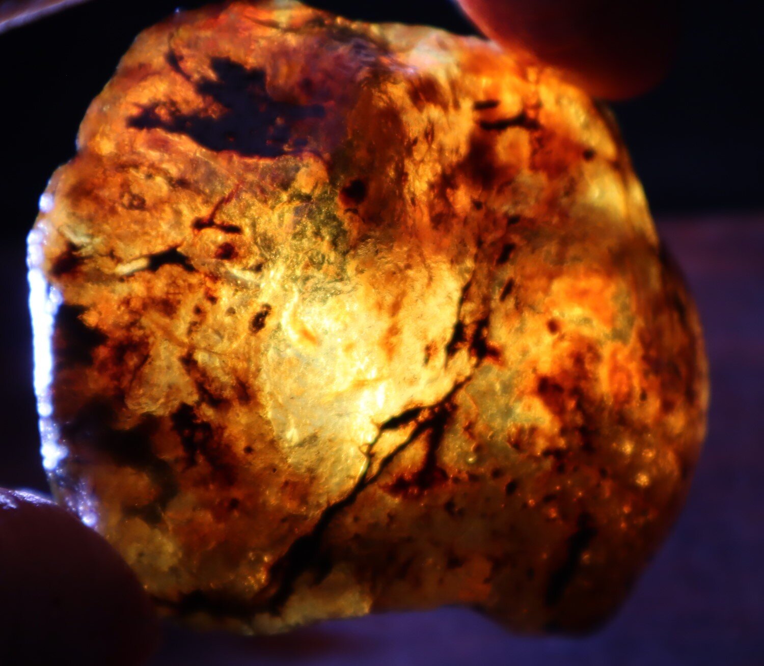 Outstanding Natural Dominican Clear Green Blue Amber Rough Specimen 60mm 36.6g – photo 10