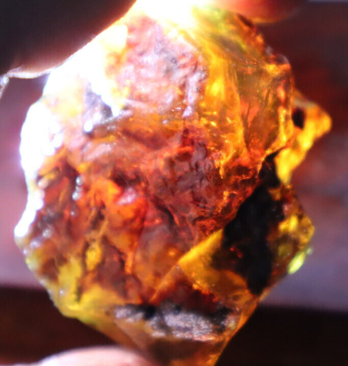 Outstanding Natural Dominican Clear Yellow Blue Amber Rough Specimen 52mm 35.3g – photo 11