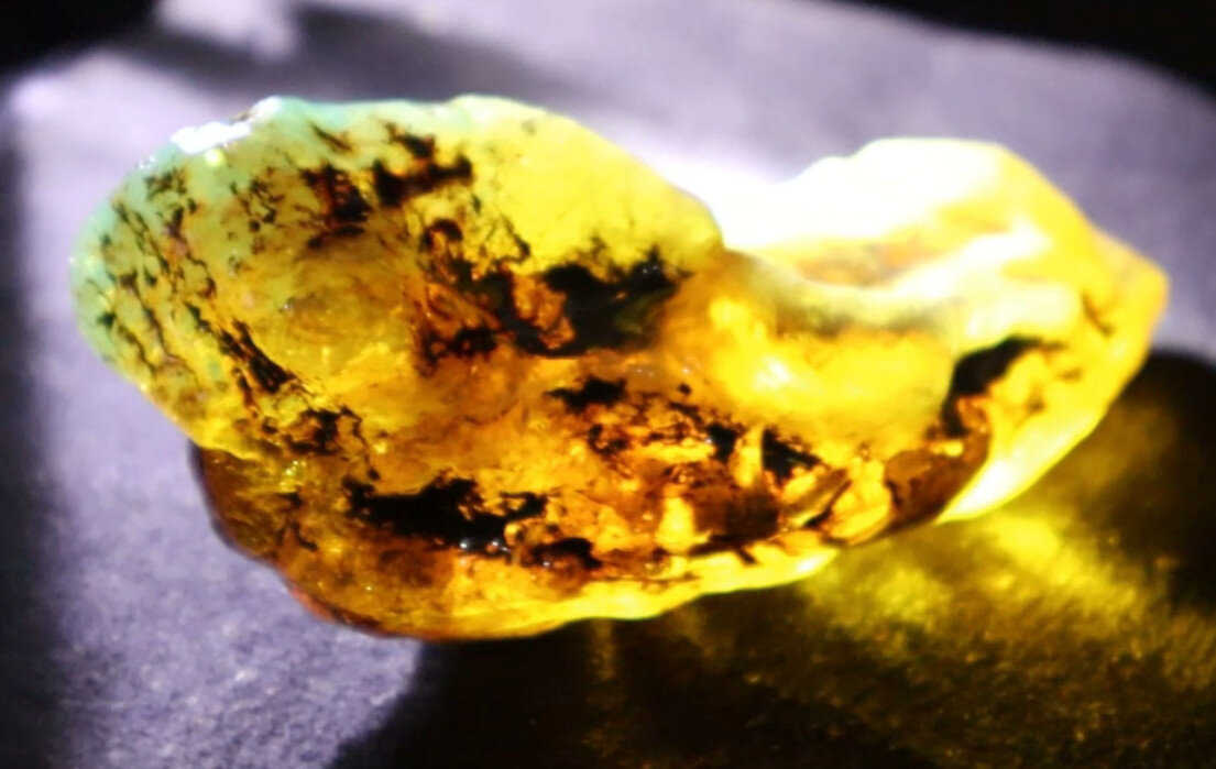 Impressive Natural Dominican Clear Sky Blue Amber Rough Specimen 48mm 39g – photo 4