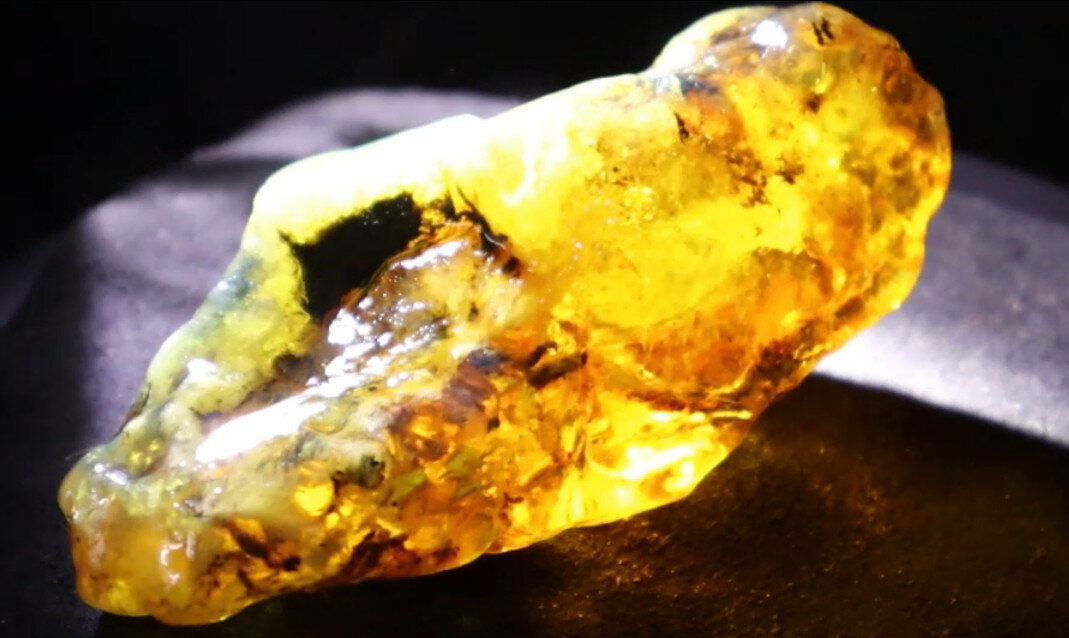 Impressive Natural Dominican Clear Sky Blue Amber Rough Specimen 48mm 39g – photo 6