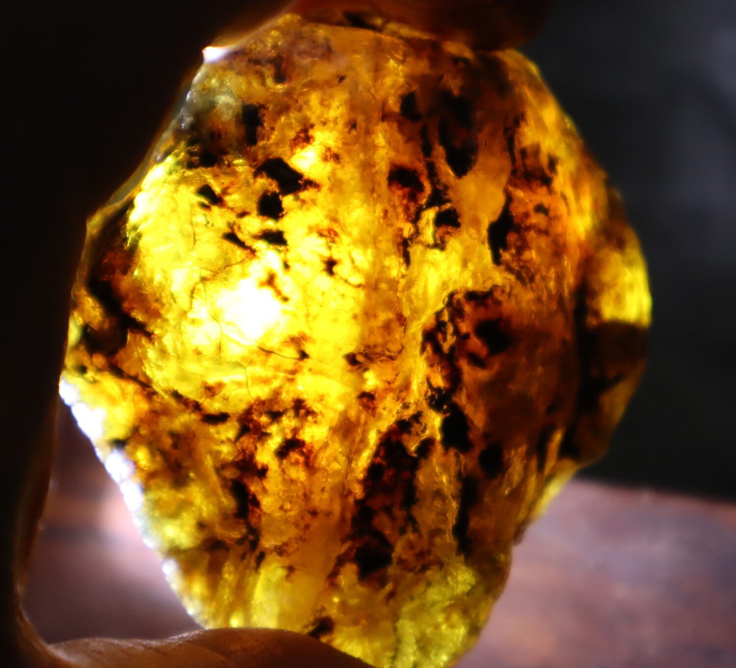 Beautiful Natural Dominican Translucent Yellow Blue Amber Rough Specimen 58mm 34g – photo 6