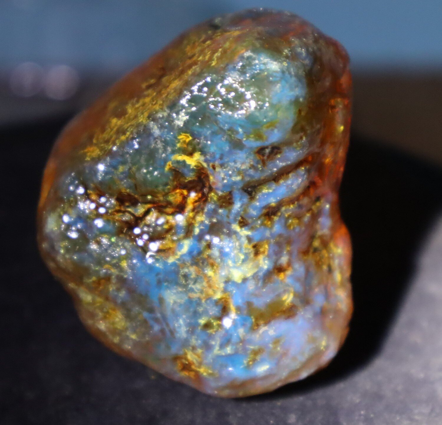 Beautiful Natural Dominican Clear Green Blue Amber Rough Specimen 51mm 47.8g – photo 13