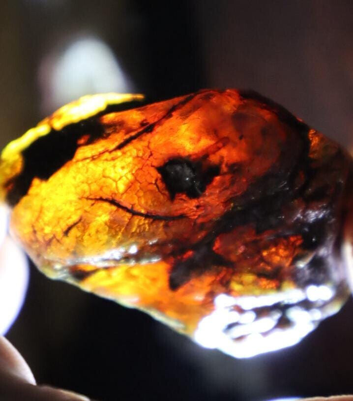 Outstanding Natural Dominican Clear Sky Blue Amber Rough Specimen 58mm 33g – photo 9
