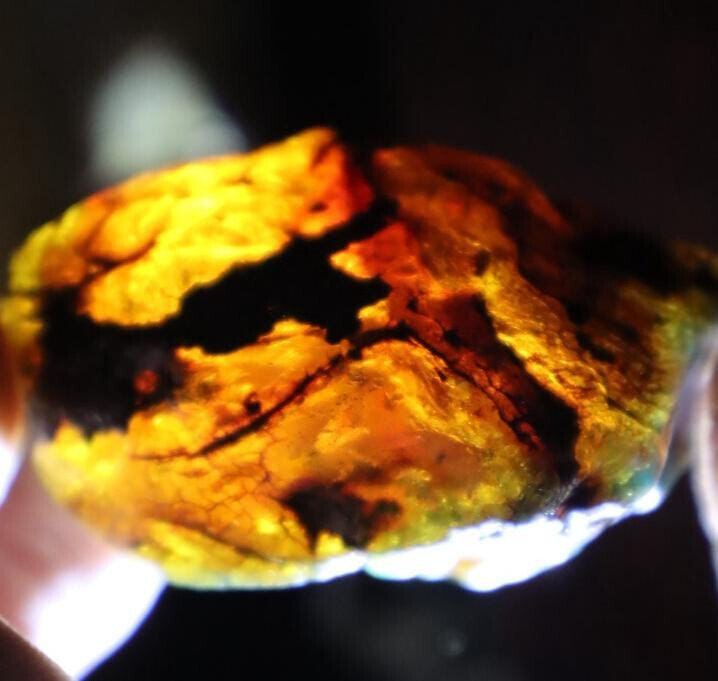 Outstanding Natural Dominican Clear Sky Blue Amber Rough Specimen 58mm 33g – photo 4