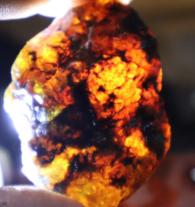 Beautiful Natural Dominican Clear Deep Blue Amber Rough Specimen 45mm 15.3g – photo 10