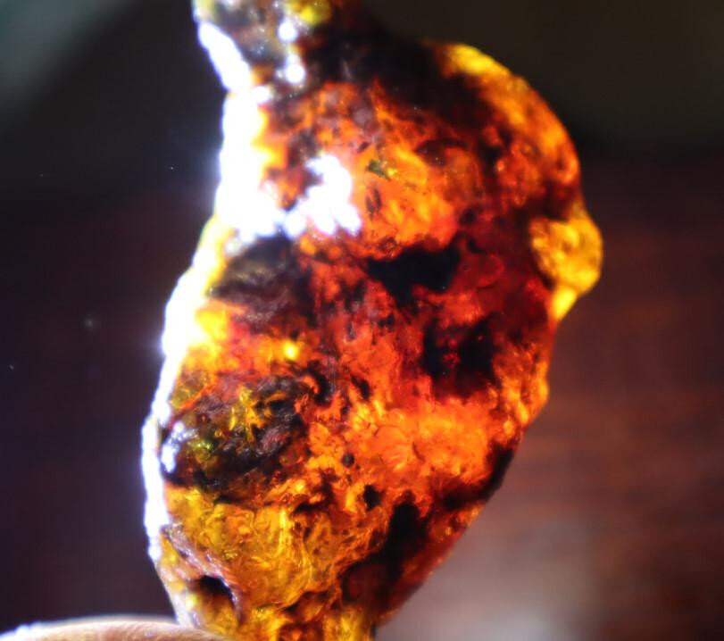 Beautiful Natural Dominican Clear Yellow Blue Amber Rough Specimen 50mm 15g – photo 10