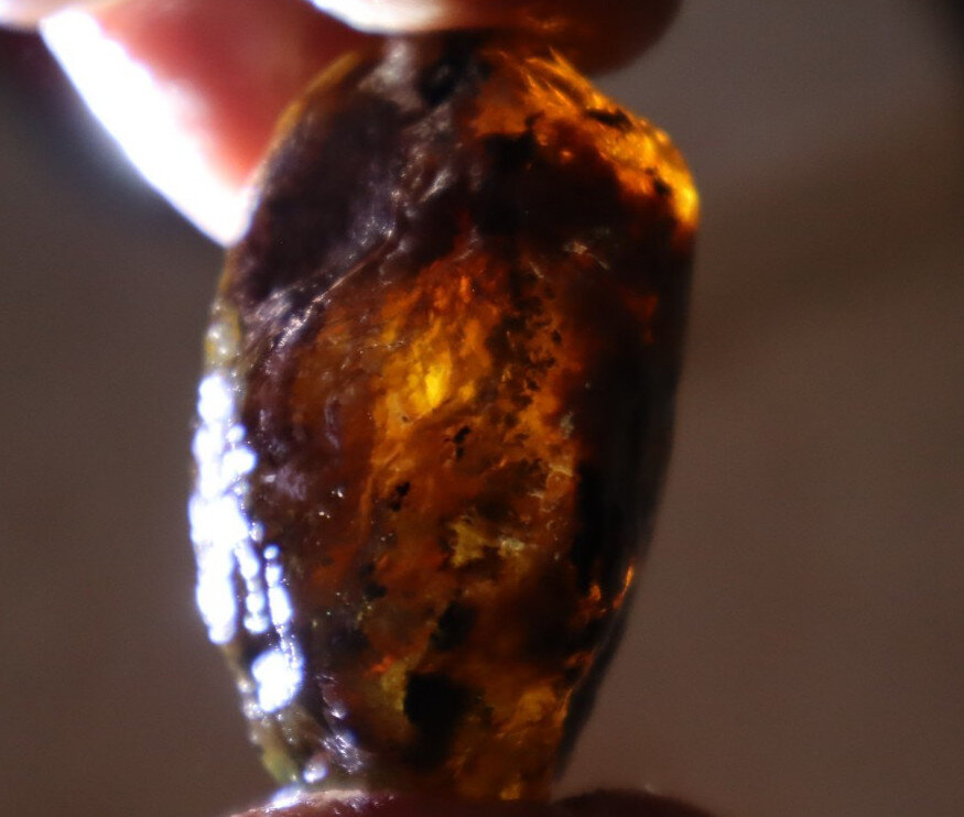 Fine Rare Green Blue Dominican Amber Rough Specimen Chunk 39mm 15.2g – photo 8