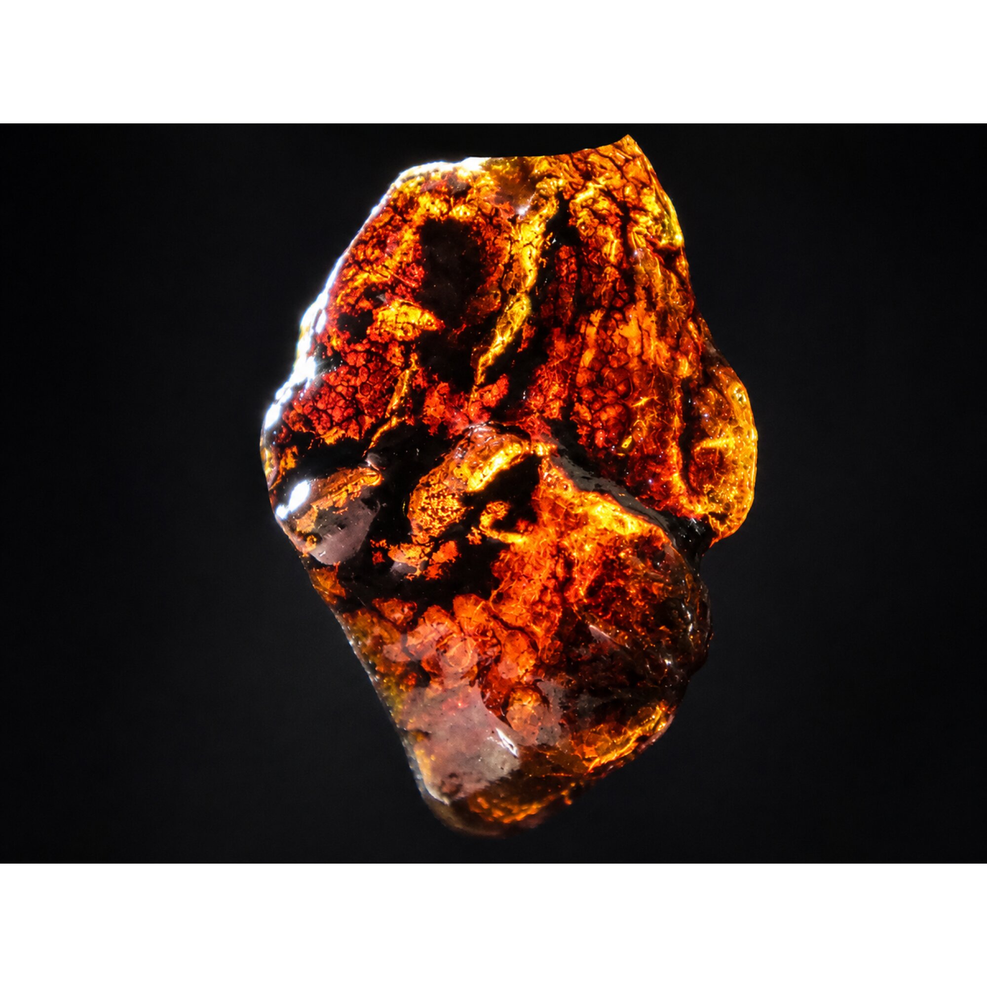 Clear sky blue Natural Dominican Amber rough Specimen 29 mm – photo 5