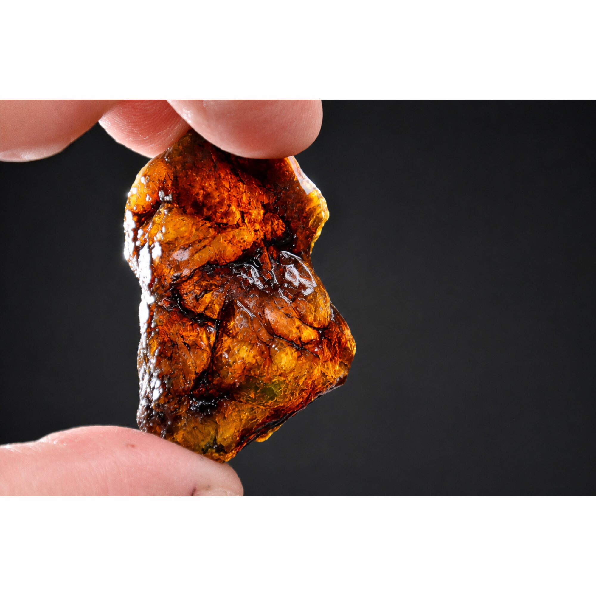 Clear deep orange Natural Dominican Amber rough Specimen 46 mm – photo 5