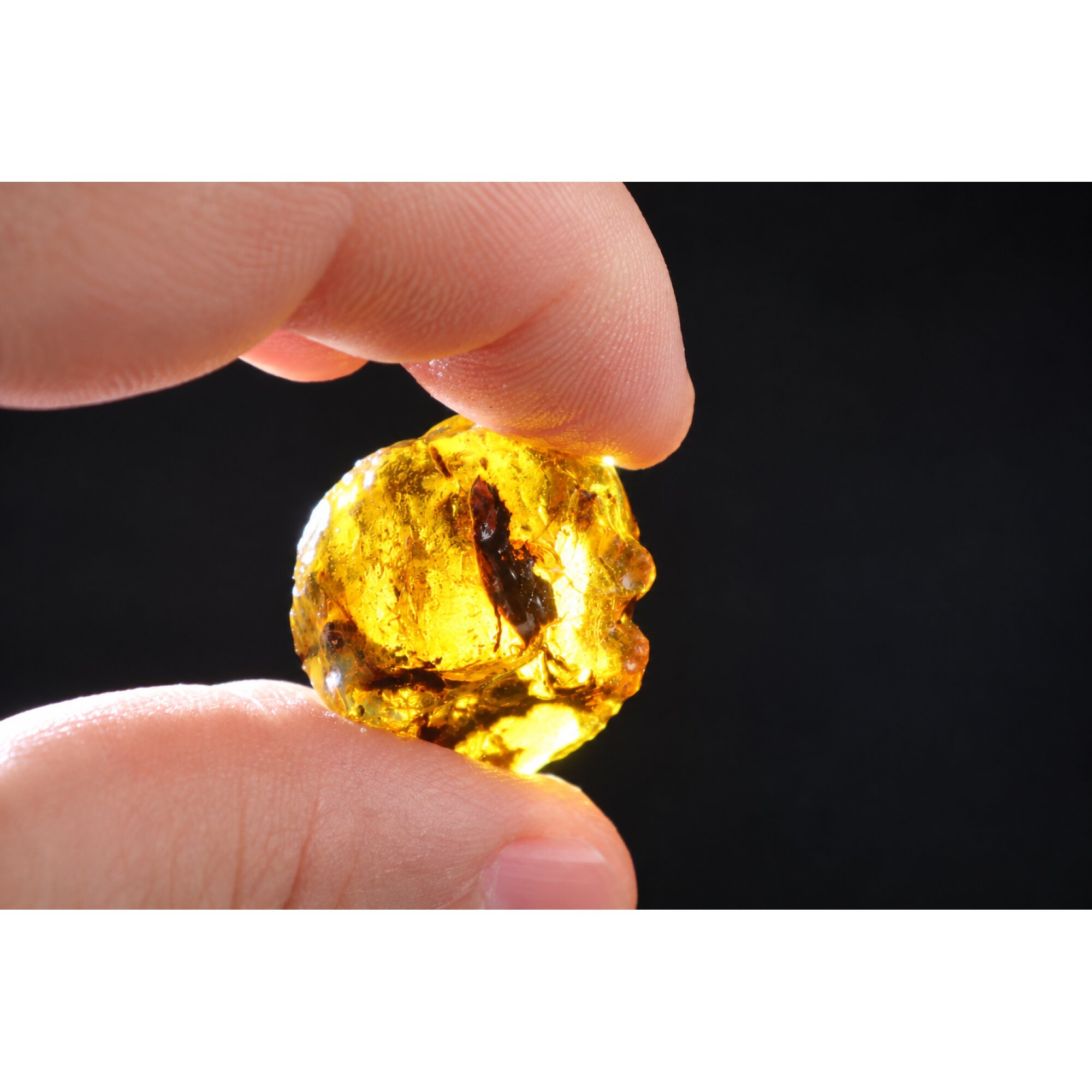 Naturally formed sky blue rough specimen Dominican amber 25mm – photo 10