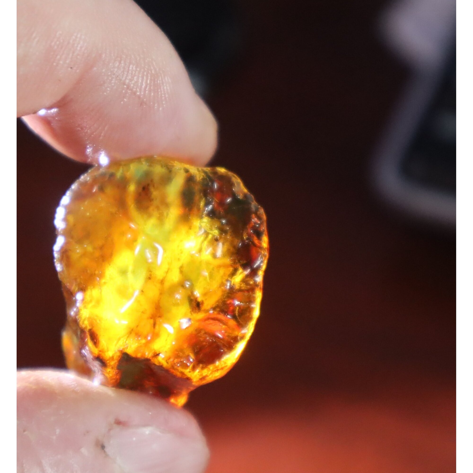 Naturally formed cognac blue rough specimen Dominican amber 31mm – photo 9