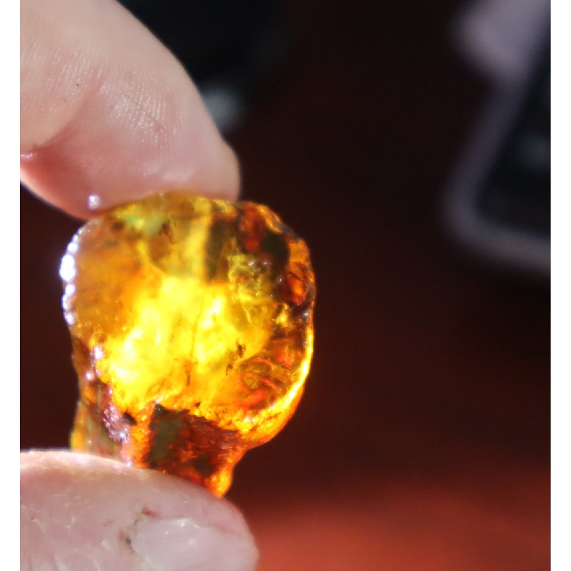 Naturally formed cognac blue rough specimen Dominican amber 31mm – photo 10