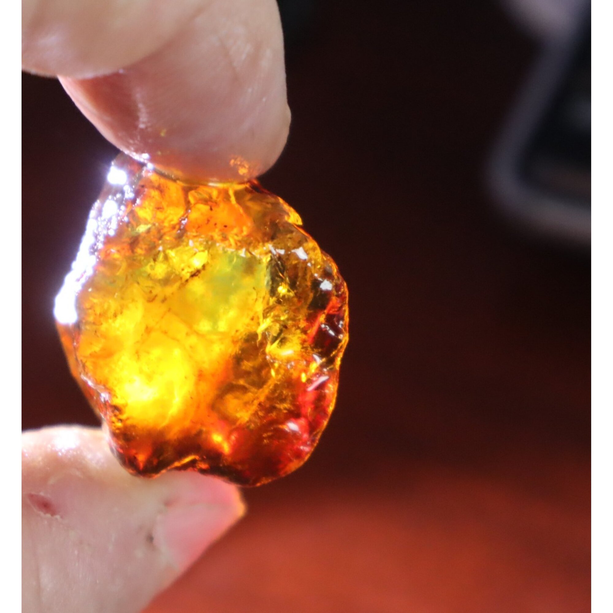Naturally formed cognac blue rough specimen Dominican amber 31mm – photo 12